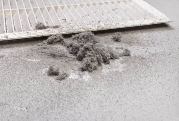 Best Commercial Air Duct Cleaning  in Tuscola, IL