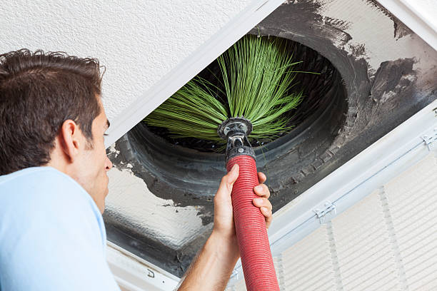 Best Local Air Duct Cleaning Services  in Tuscola, IL